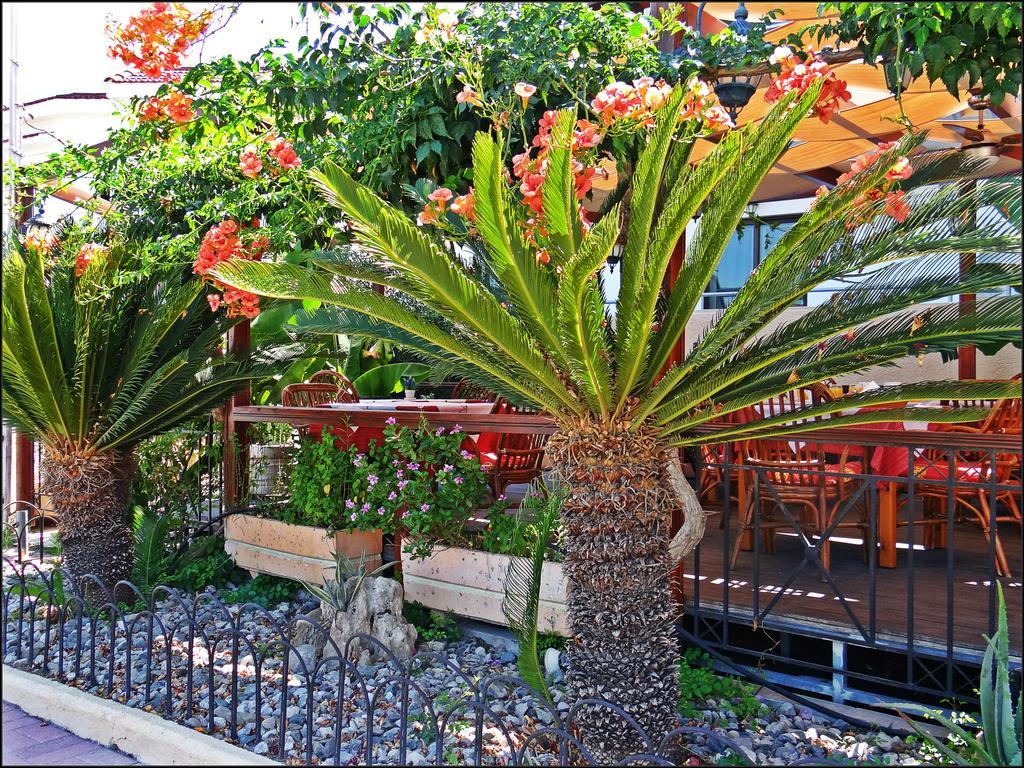 Kalathos Sun Hotel Экстерьер фото